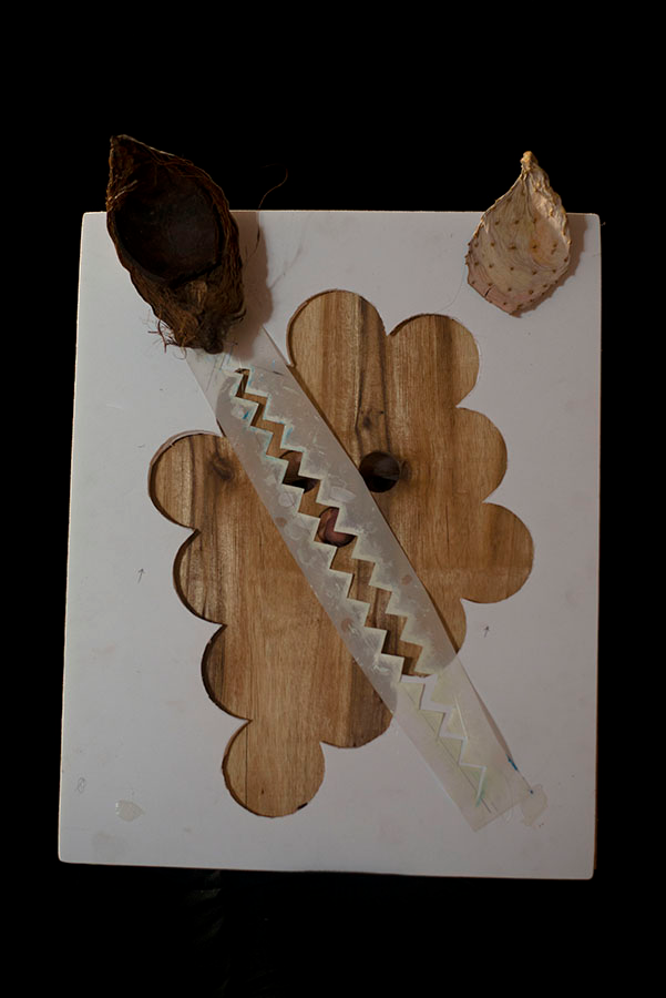 On a black background sits a light rectangle with layers of natural elements.